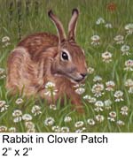 Rabbit in Clover Patch c