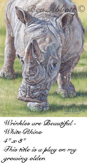 Wrinkles are Beautiful 70 dpi